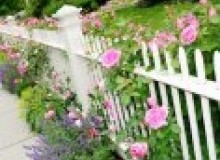 Kwikfynd Garden fencing
wallarooqld